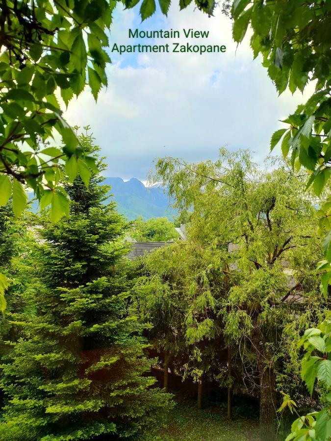 Mountain View Apartment Zakopane Esterno foto