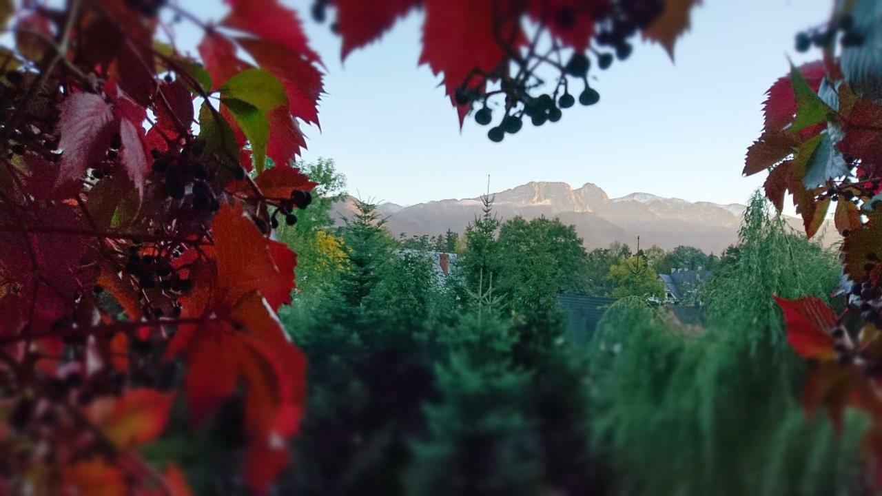 Mountain View Apartment Zakopane Esterno foto