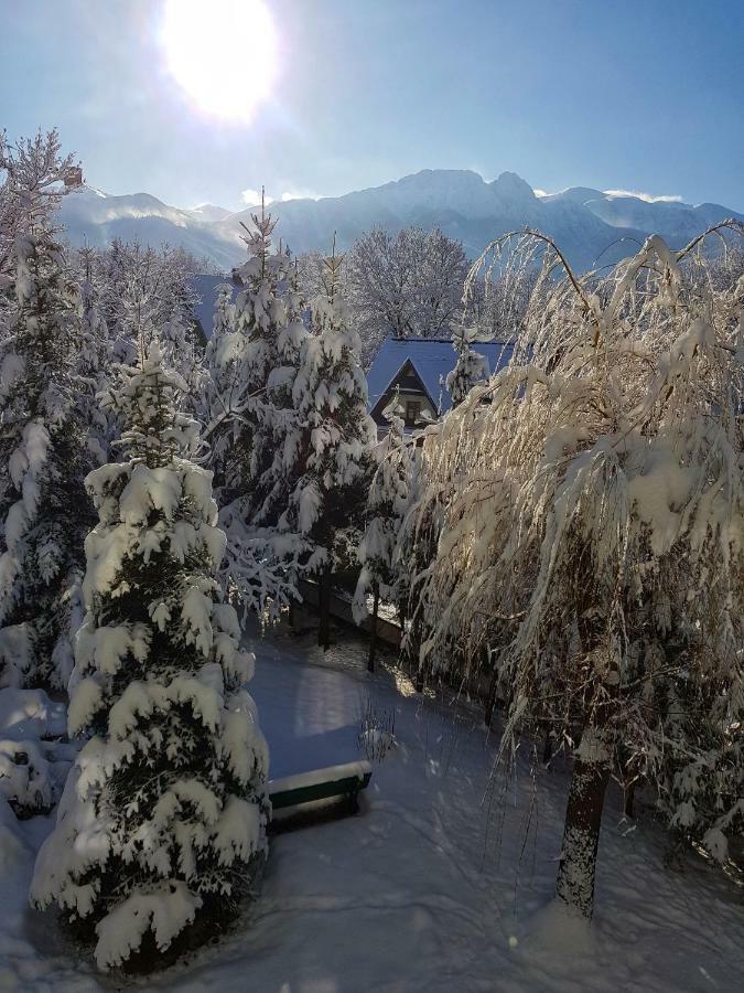 Mountain View Apartment Zakopane Esterno foto