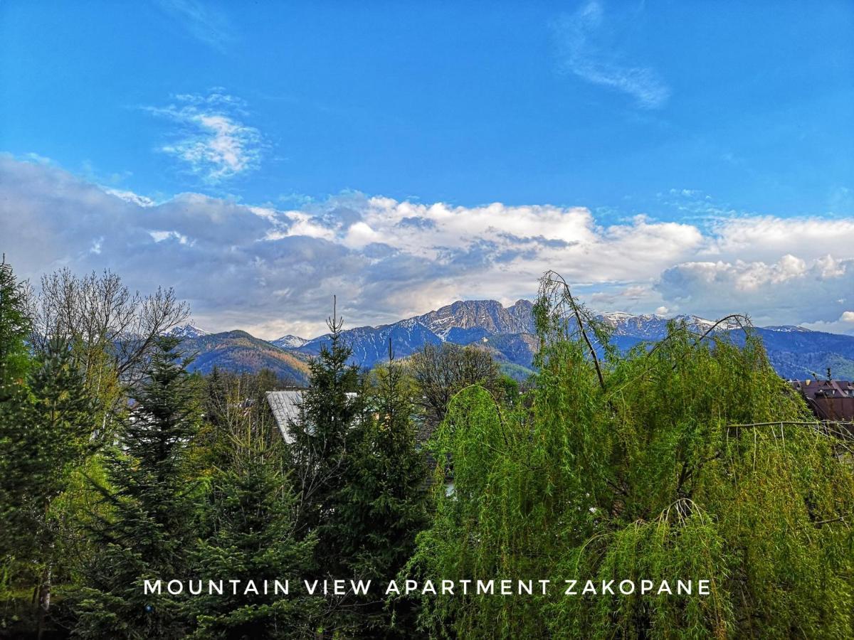 Mountain View Apartment Zakopane Esterno foto