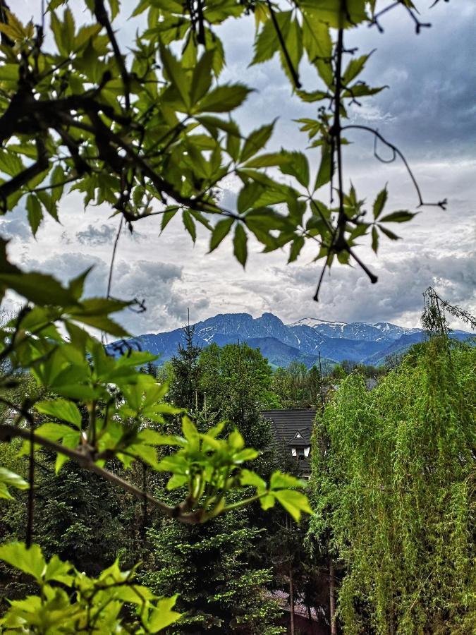 Mountain View Apartment Zakopane Esterno foto